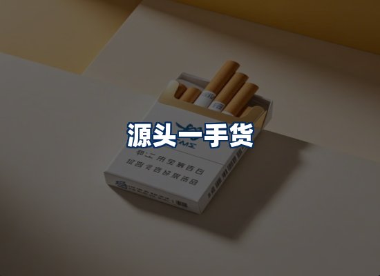 专业团队办公环境